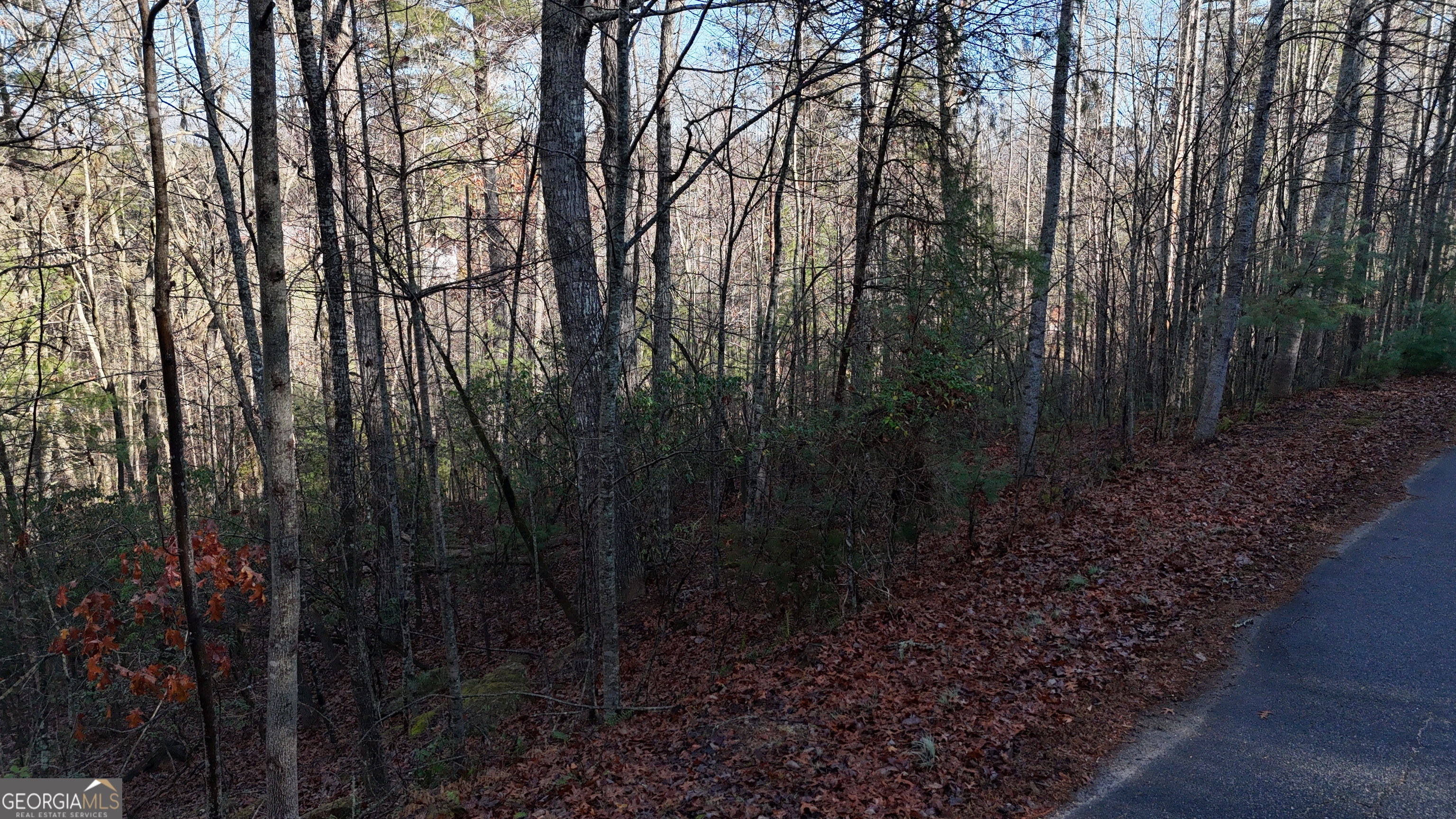 Lot 10 Gold Ditch Road Cleveland, GA 30528 - Photo 3 of 6