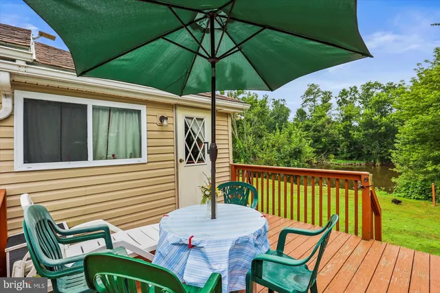 a view of a field with a tree