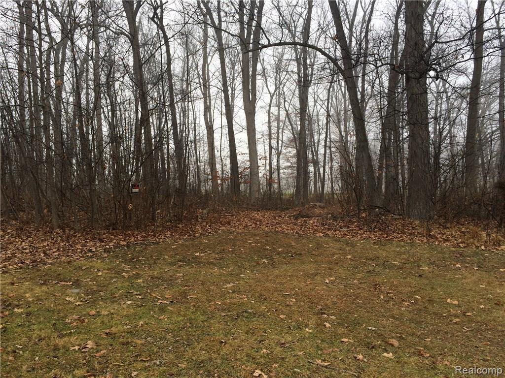 3834 Hunt Road Lapeer, MI 48446 - Photo 7 of 22 C:\Users\TrishaL\OneDrive\Photos\Hunt Rd\20151207_191927915_iOS.jpg