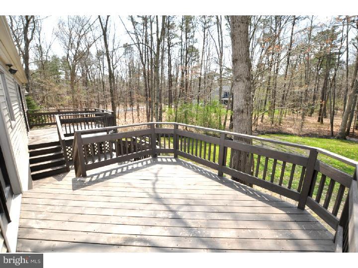 383 Indian Mills Road Shamong, NJ 08088 - Photo 23 of 25 Deck