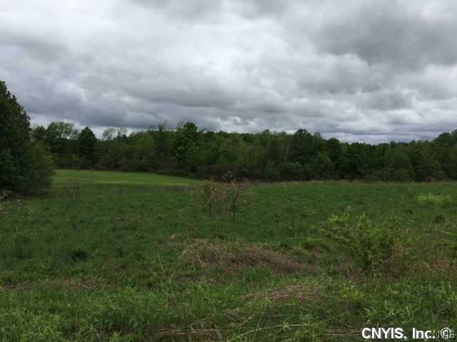 5925 Breed Road Camillus, NY 13031 - Photo 1 of 1 Land/Lot