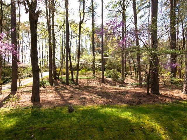 2505 Alpine Road Durham, NC 27707 - Photo 21 of 21 Photo 25
