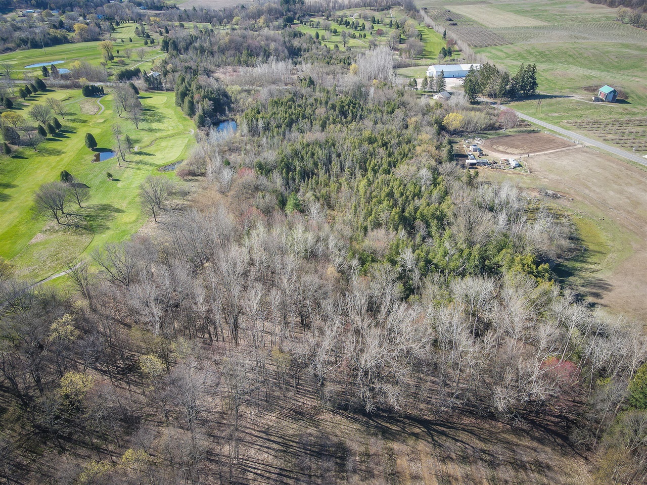 10 West Weaver Road Hesperia, MI 49421 - Photo 12 of 43