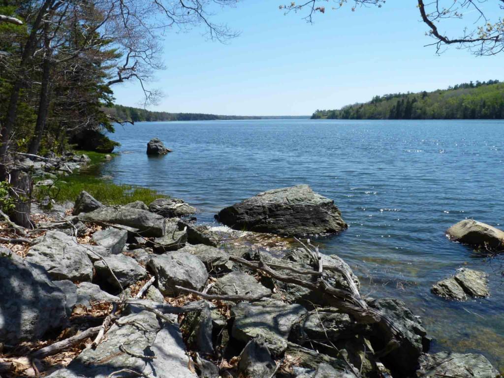 172 Surry Road Surry, ME 04684 - Photo 1 of 9 Photo