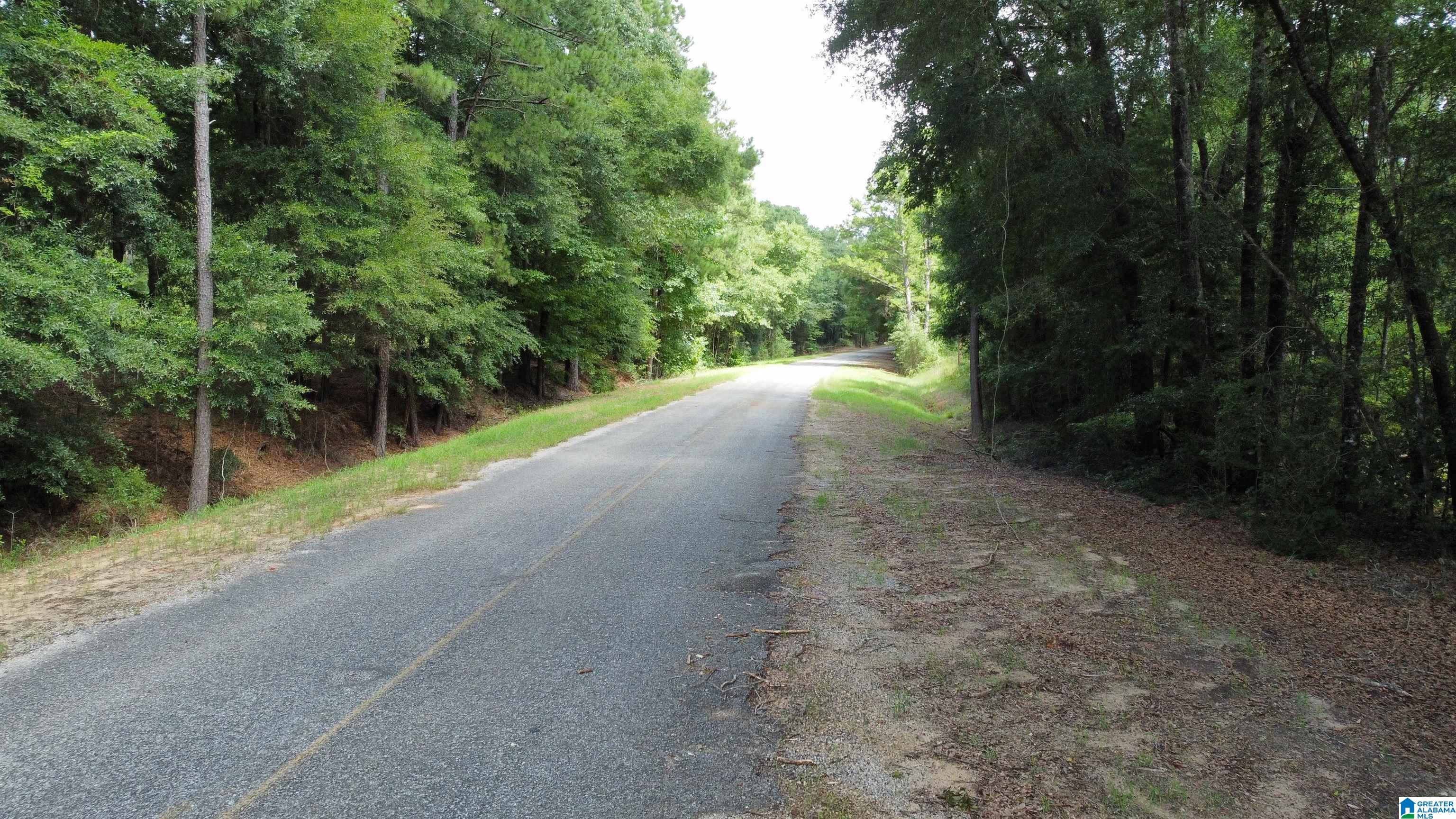 0 County Road 65 Abbeville, AL 36310 - Photo 1 of 24