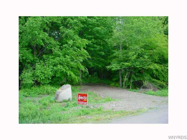 V/l Oswald Road Collins, NY 14034 - Photo 1 of 1 Exterior Front