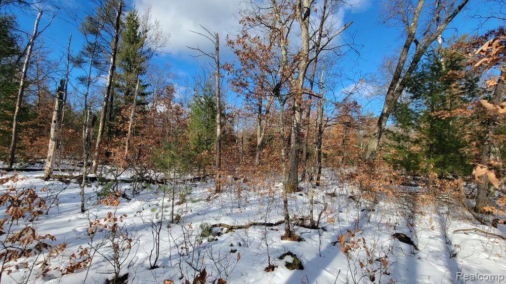 8879 9 Mile Bridge Road Manistee, MI 49660 - Photo 15 of 34