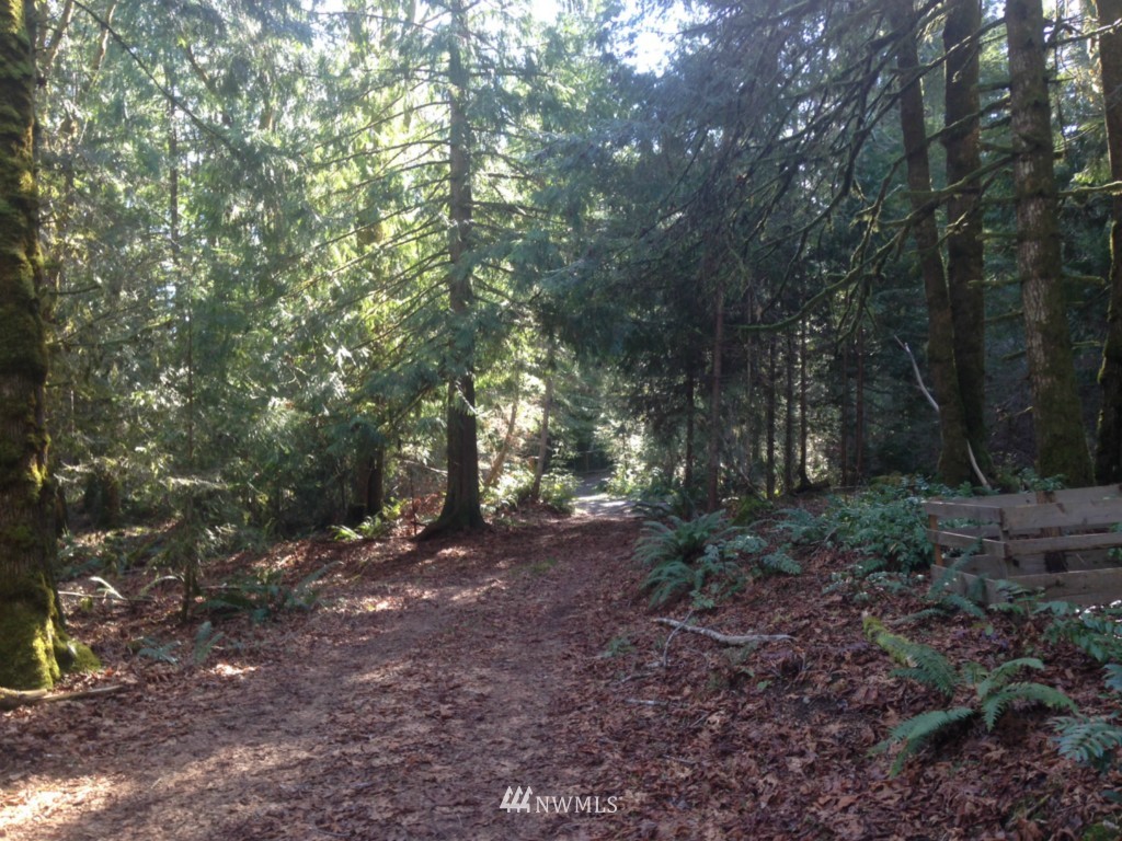 4952 Dabob Road Quilcene, WA 98376 - Photo 14 of 16
