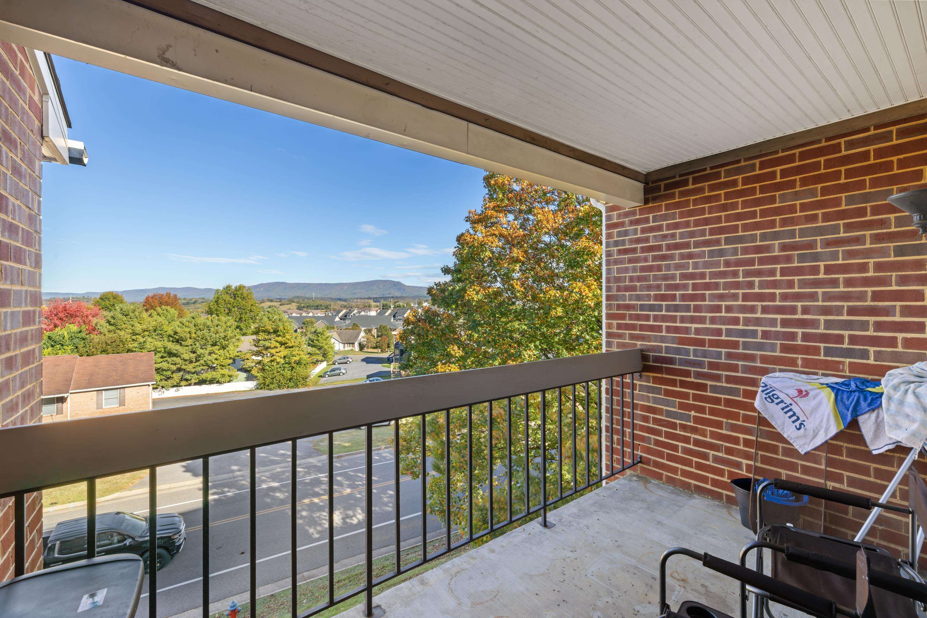 1116 Blue Ridge Drive, Unit 11 Harrisonburg, VA 22802 - Photo 18 of 21 a view of a balcony