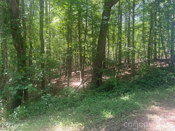 $199,000 | 0 Locust Lane, New London, NC 28127