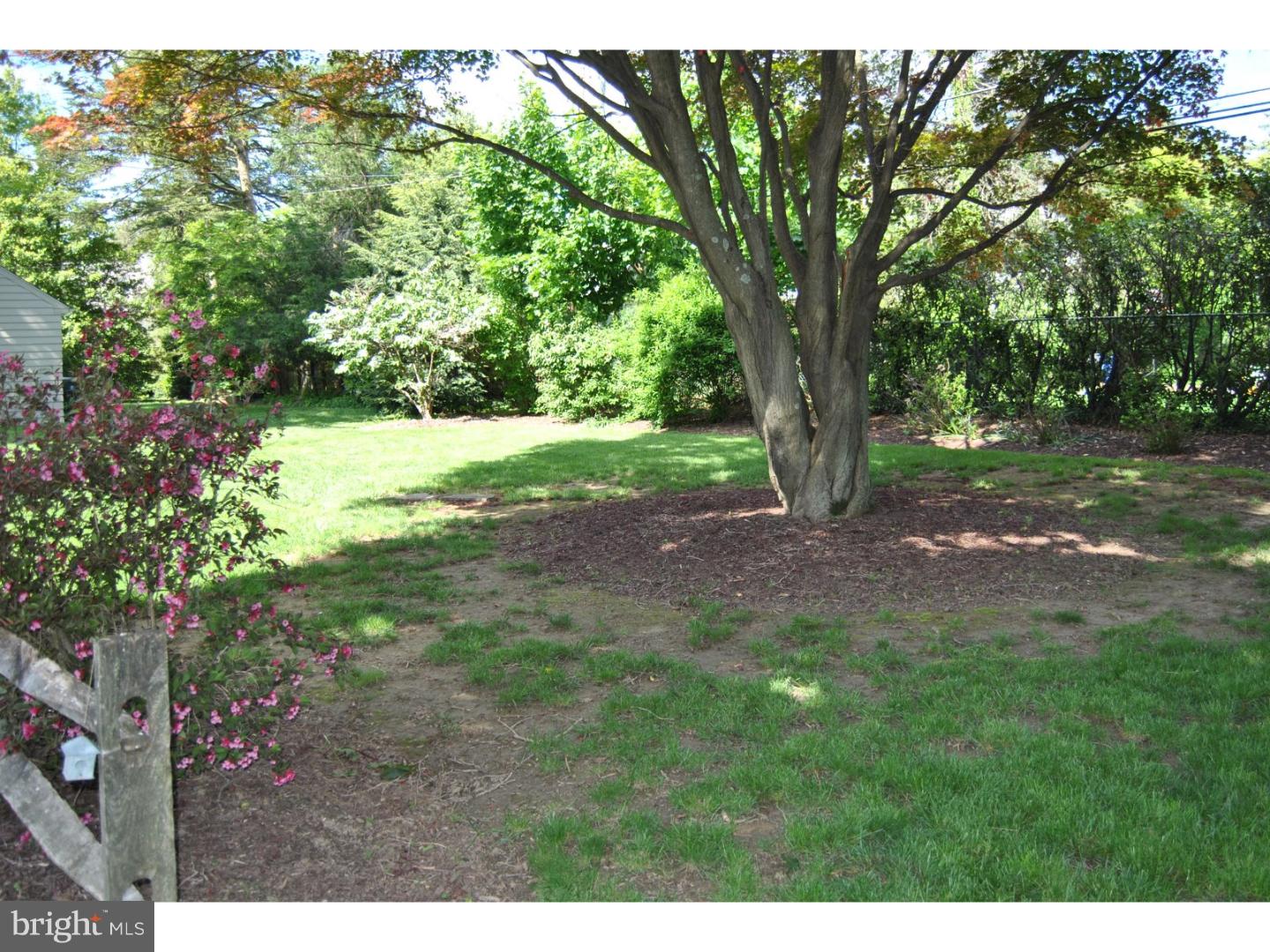 310 Evergreen Road Jenkintown, PA 19046 - Photo 22 of 24 Back Yard