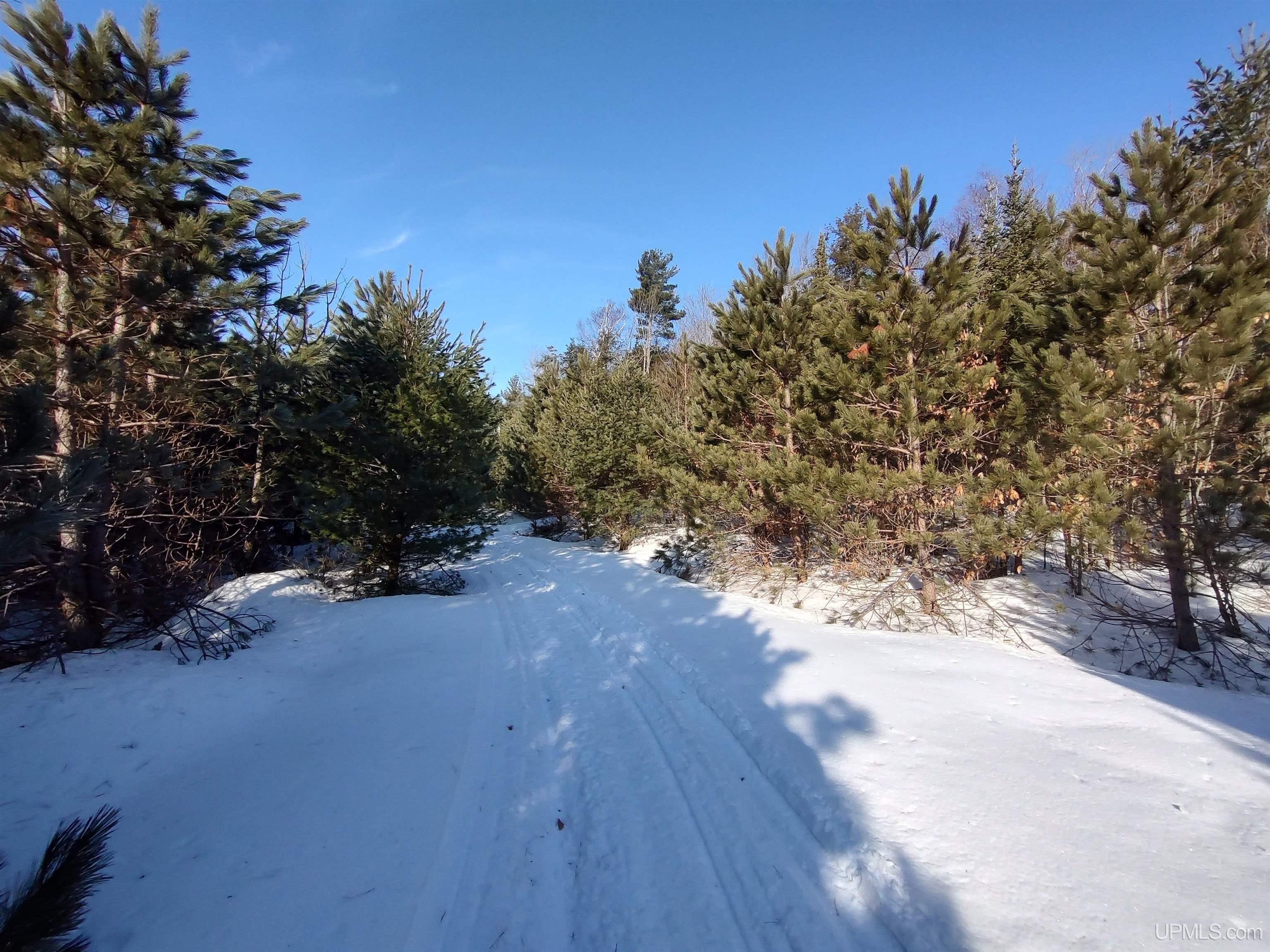 40-acres Gierke Road Manistique, MI 49854 - Photo 6 of 39