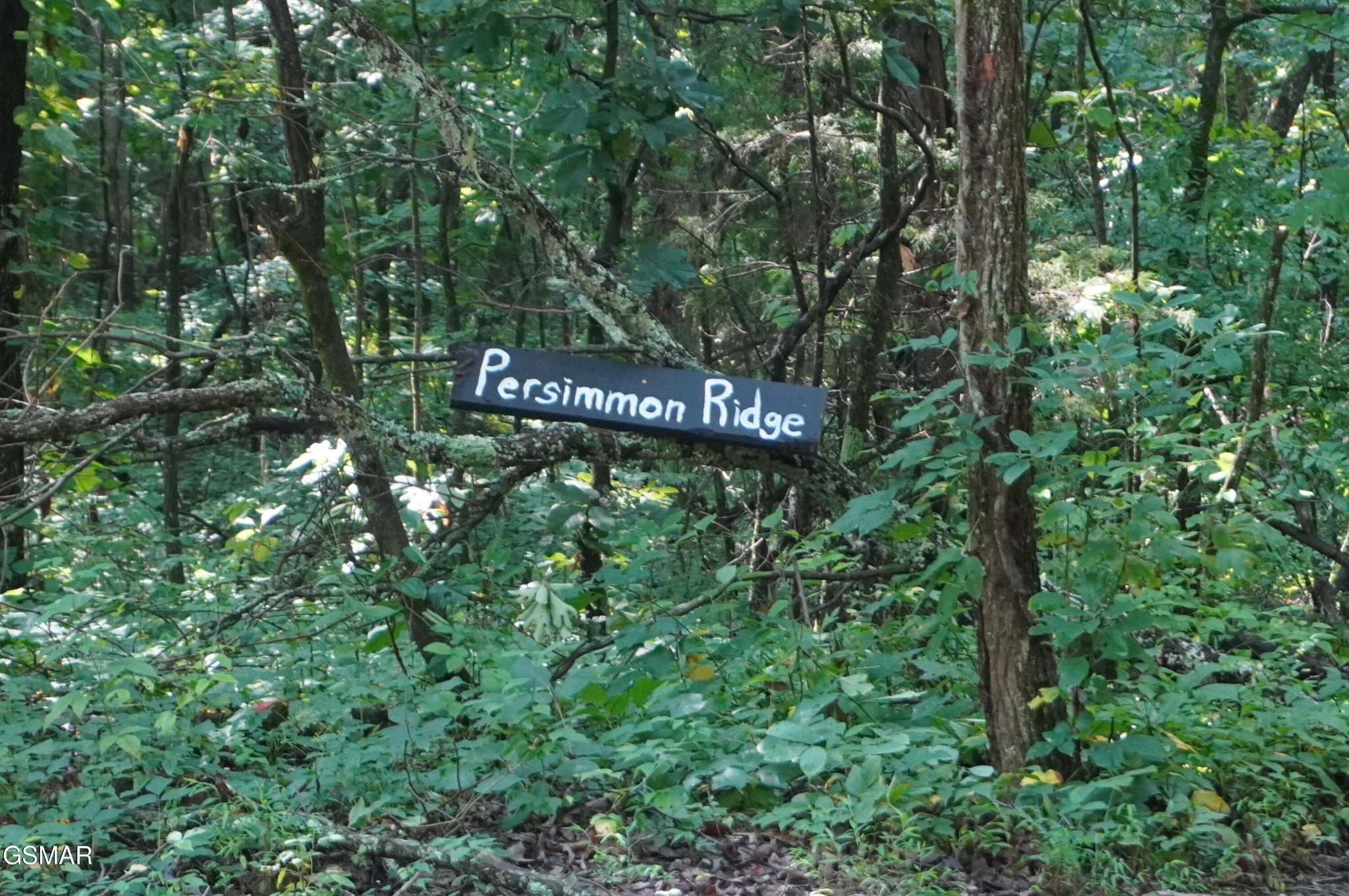 17 Pleasant View Cemetery Road New Market, TN 37820 - Photo 19 of 65 Gallery Image 19