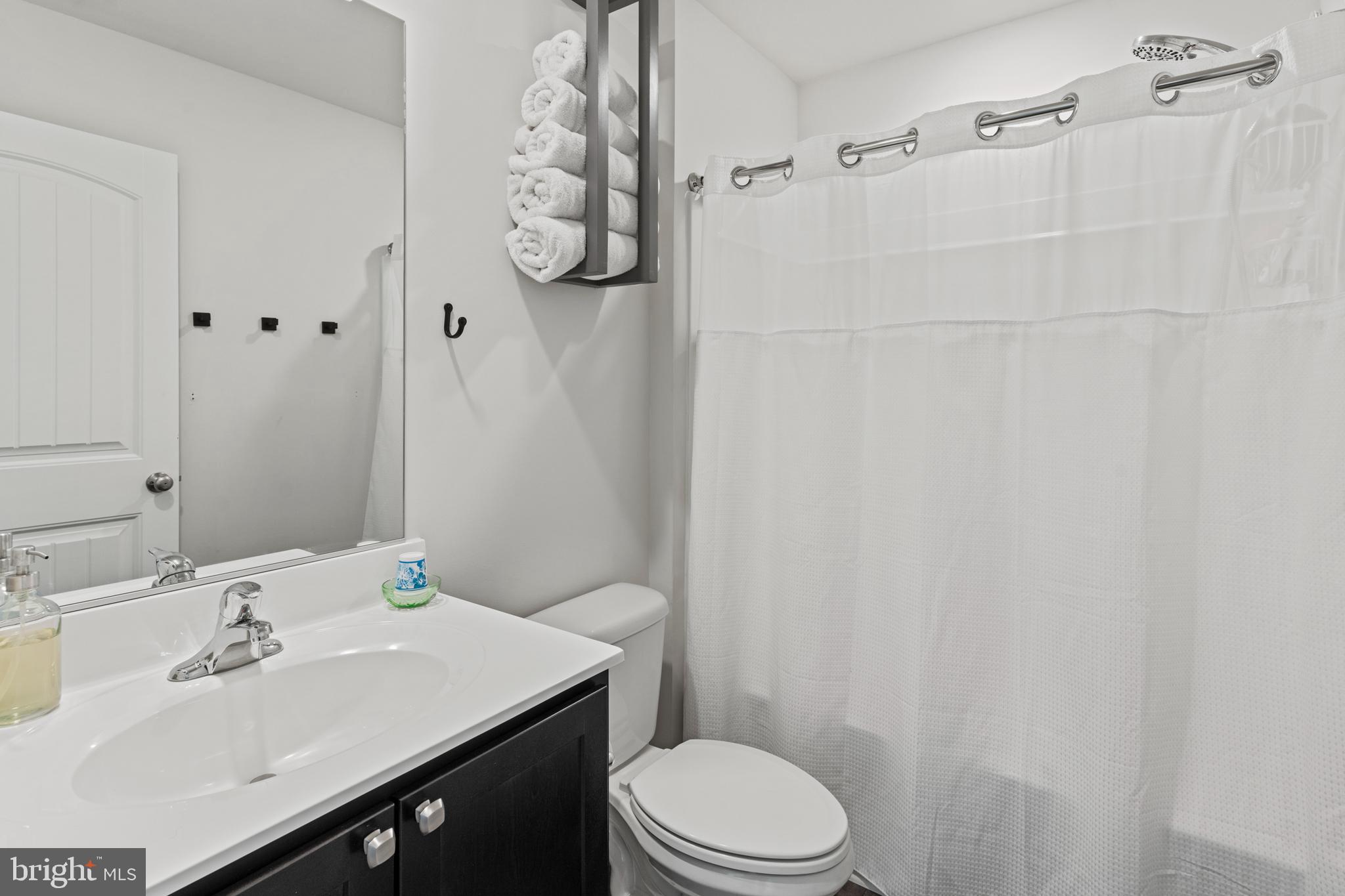 216 Silver Heel Road Chestertown, MD 21620 - Photo 26 of 32 a bathroom with a sink a toilet and shower