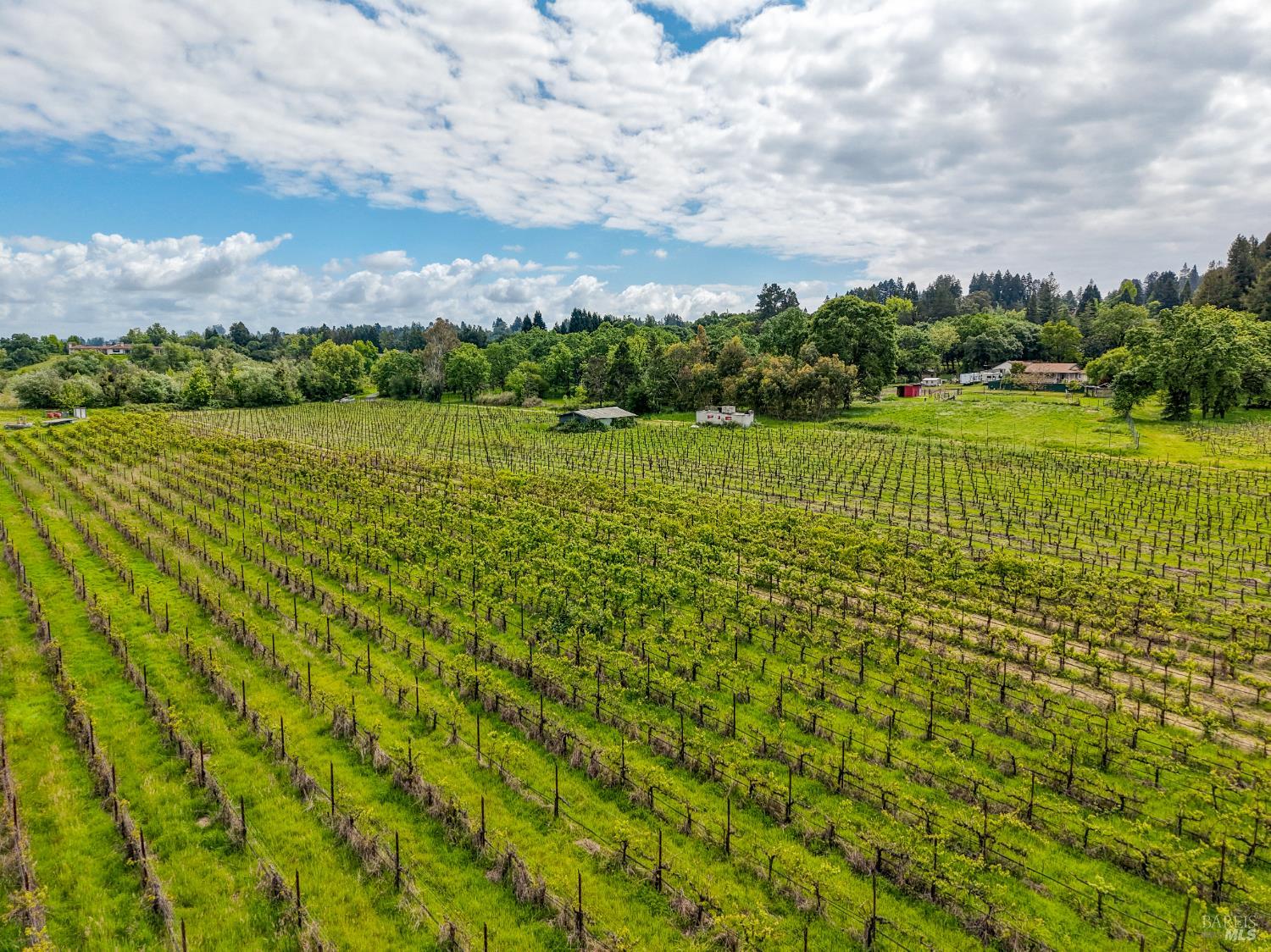 9700 Mill Station Road Sebastopol, CA 95472 - Photo 34 of 50