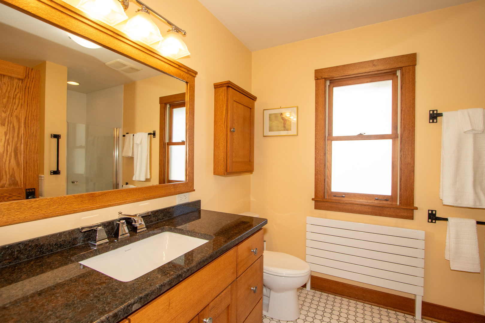 227 Thatcher Avenue River Forest, IL 60305 - Photo 27 of 42 a bathroom with a granite countertop sink and a mirror