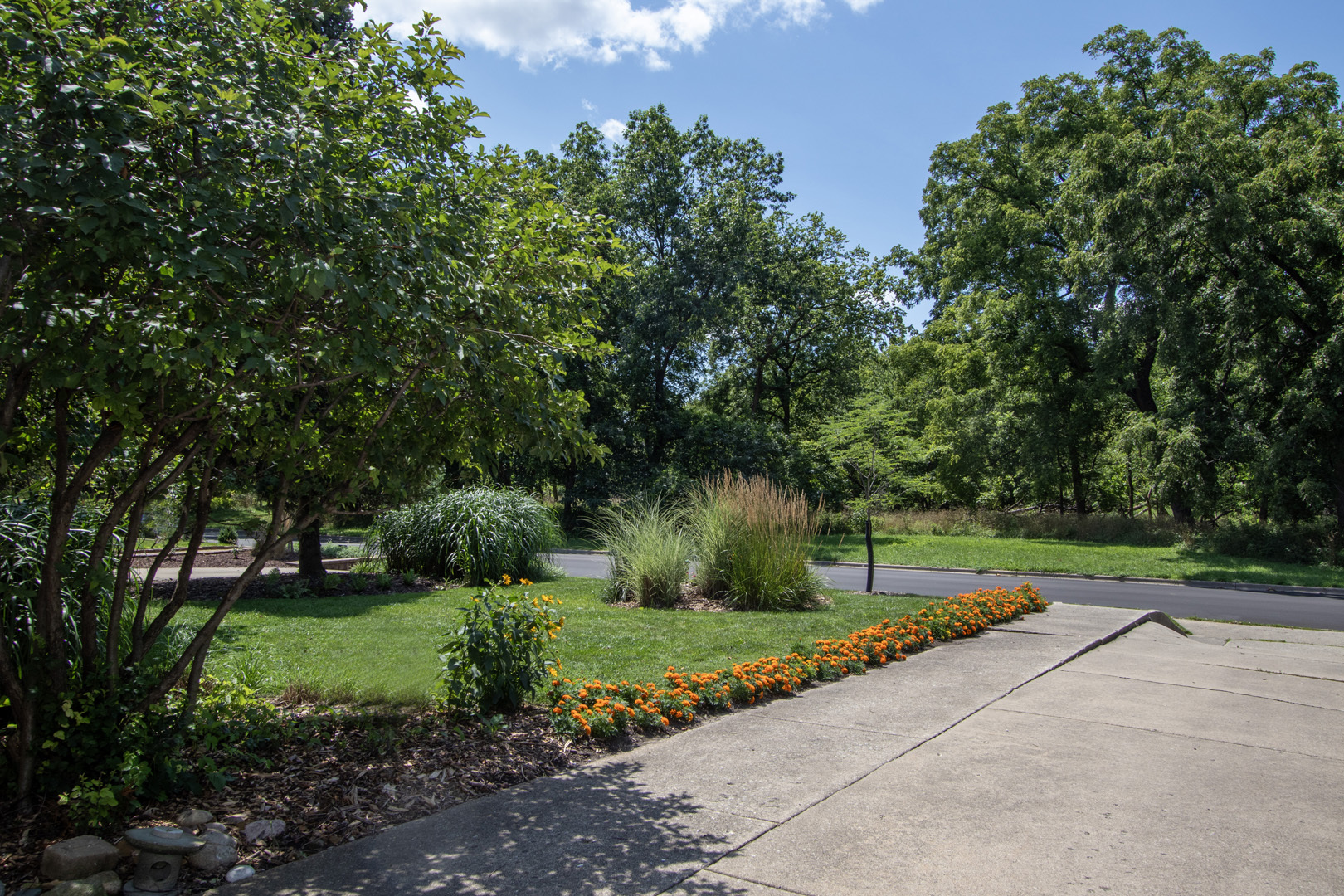 227 Thatcher Avenue River Forest, IL 60305 - Photo 3 of 42