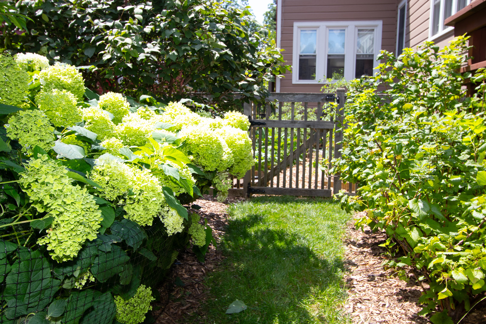 227 Thatcher Avenue River Forest, IL 60305 - Photo 35 of 42 a view of a garden with plants