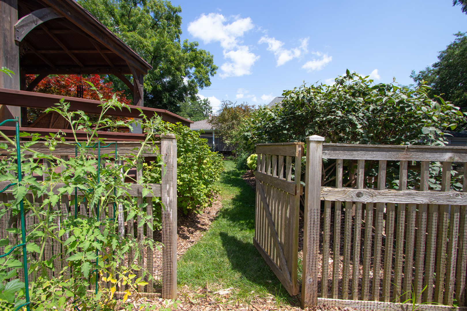 227 Thatcher Avenue River Forest, IL 60305 - Photo 36 of 42 a view of a house with a yard