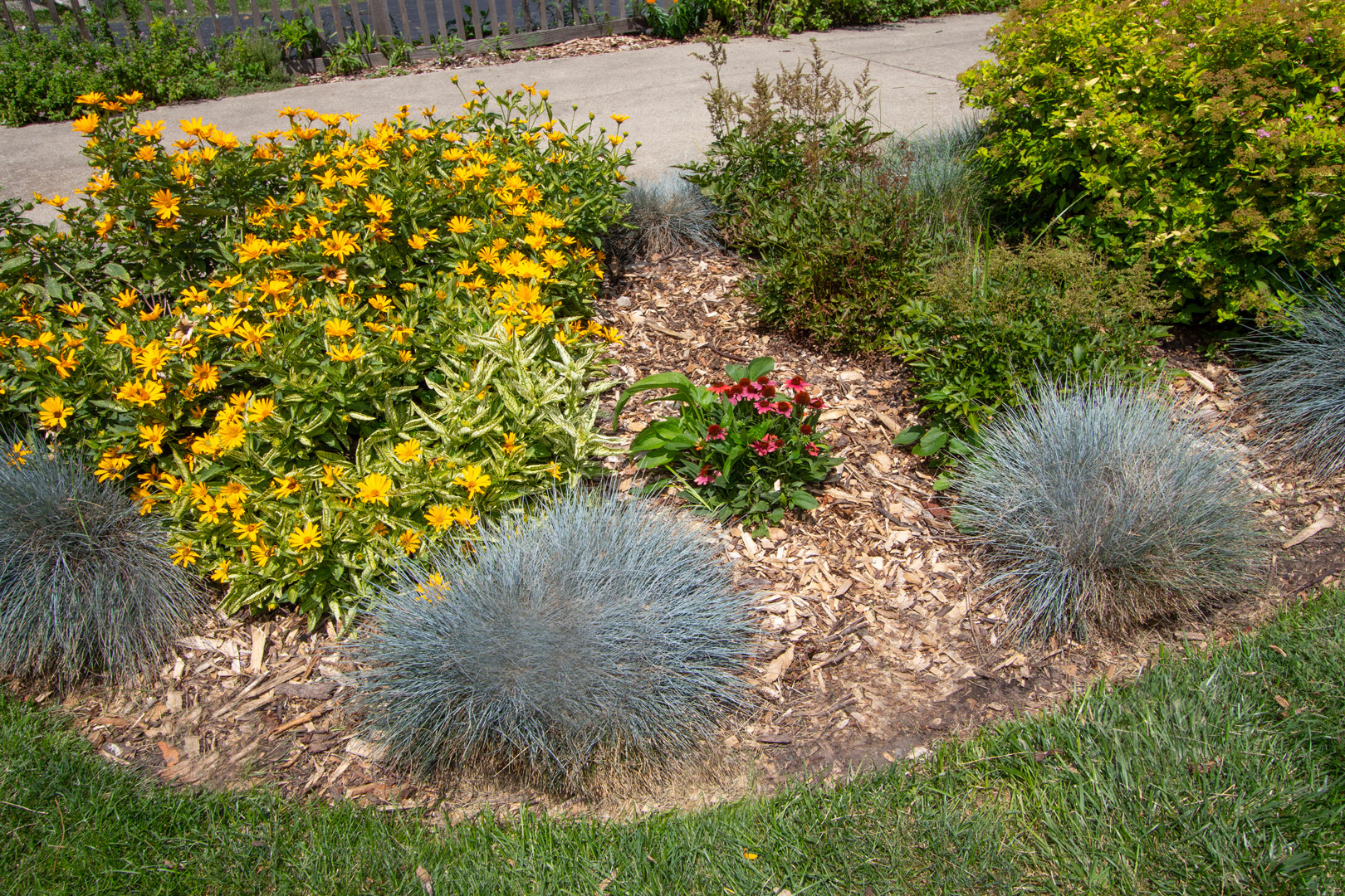 227 Thatcher Avenue River Forest, IL 60305 - Photo 38 of 42 a picture of plants