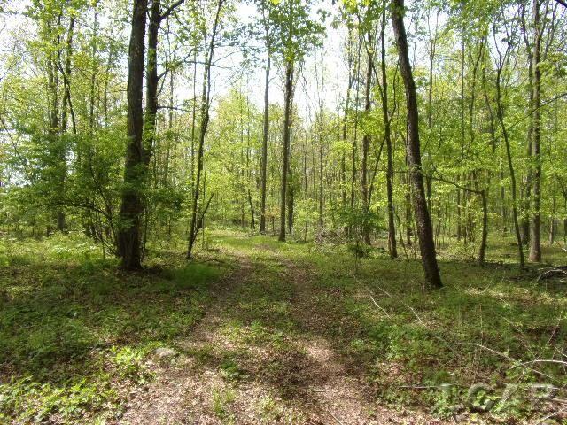 8670 Brooklyn Road Jackson, MI 49201 - Photo 2 of 18 50042019-1.JPG