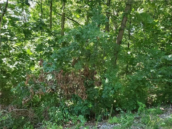 a view of a lush green field