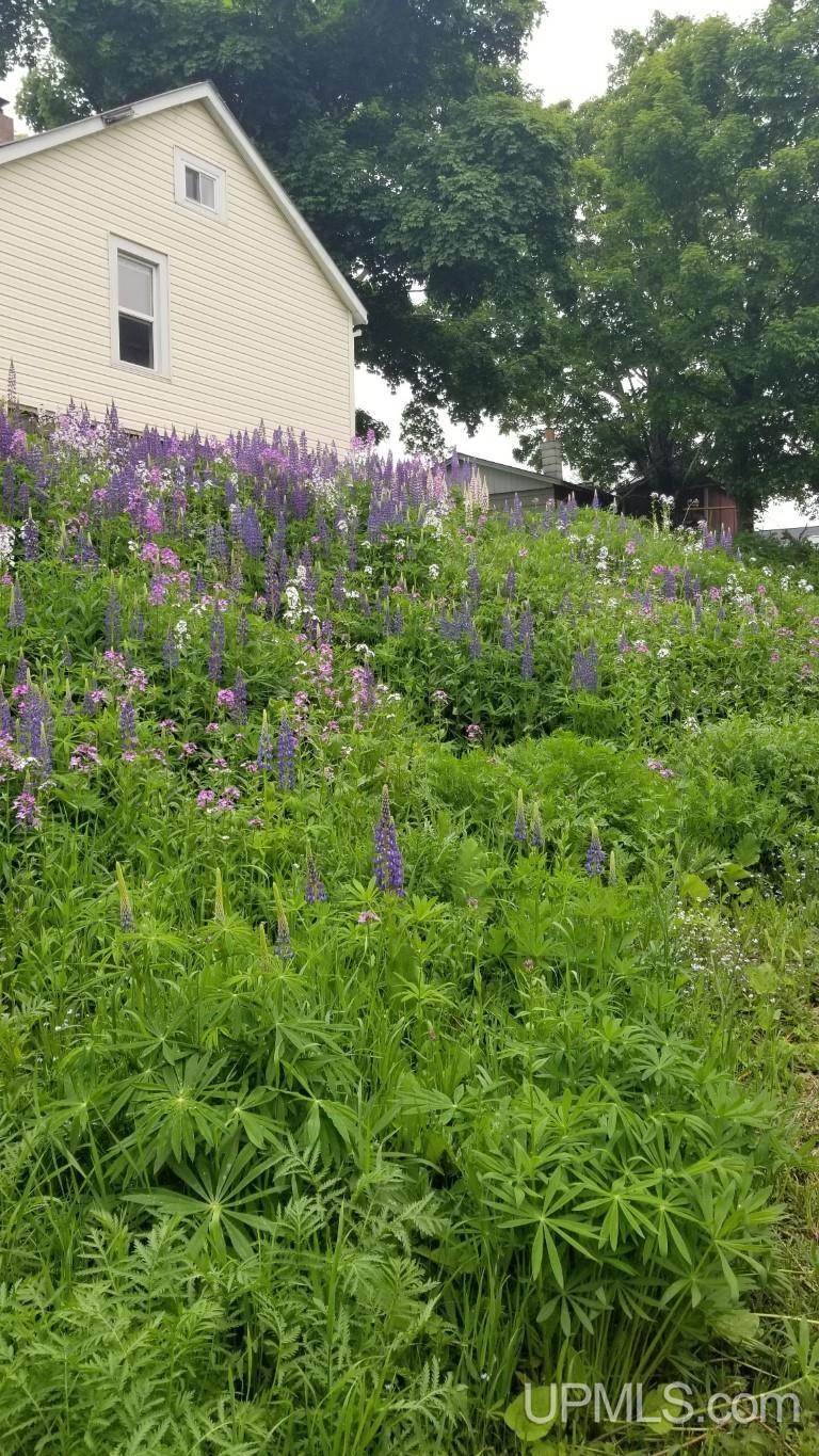 17 Meador Street L'Anse, MI 49946 - Photo 34 of 40