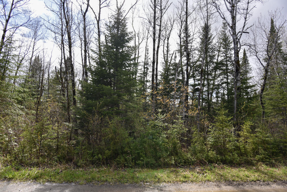 18-002 Carvell Road Mapleton, ME 04757 - Photo 10 of 20 NIK_8083