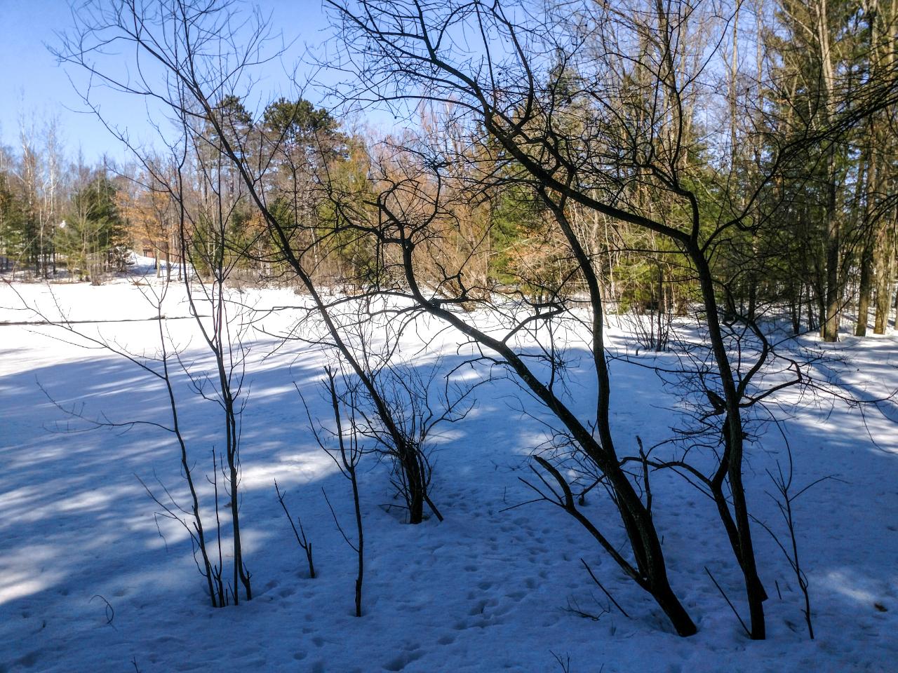 N12039 Deer Lake Road Tomahawk, WI 54487 - Photo 37 of 39 Gallery Image 37