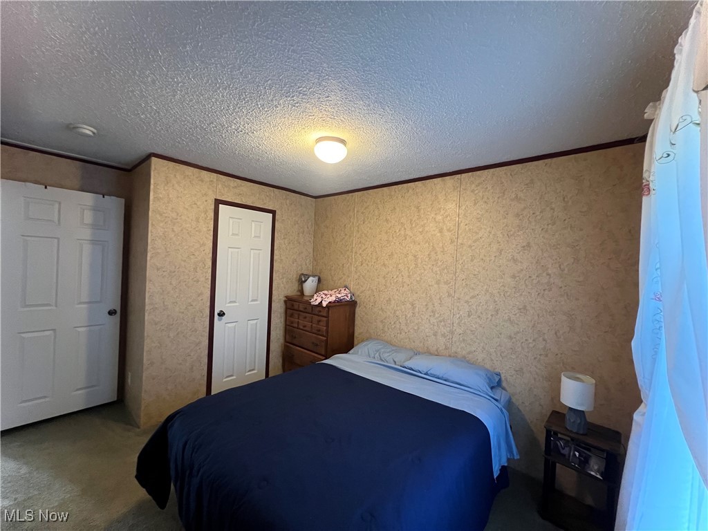 2986 Southeast Branch Road Southwest Malta, OH 43758 - Photo 25 of 41 Bedroom with carpet floors, ornamental molding, and a textured ceiling