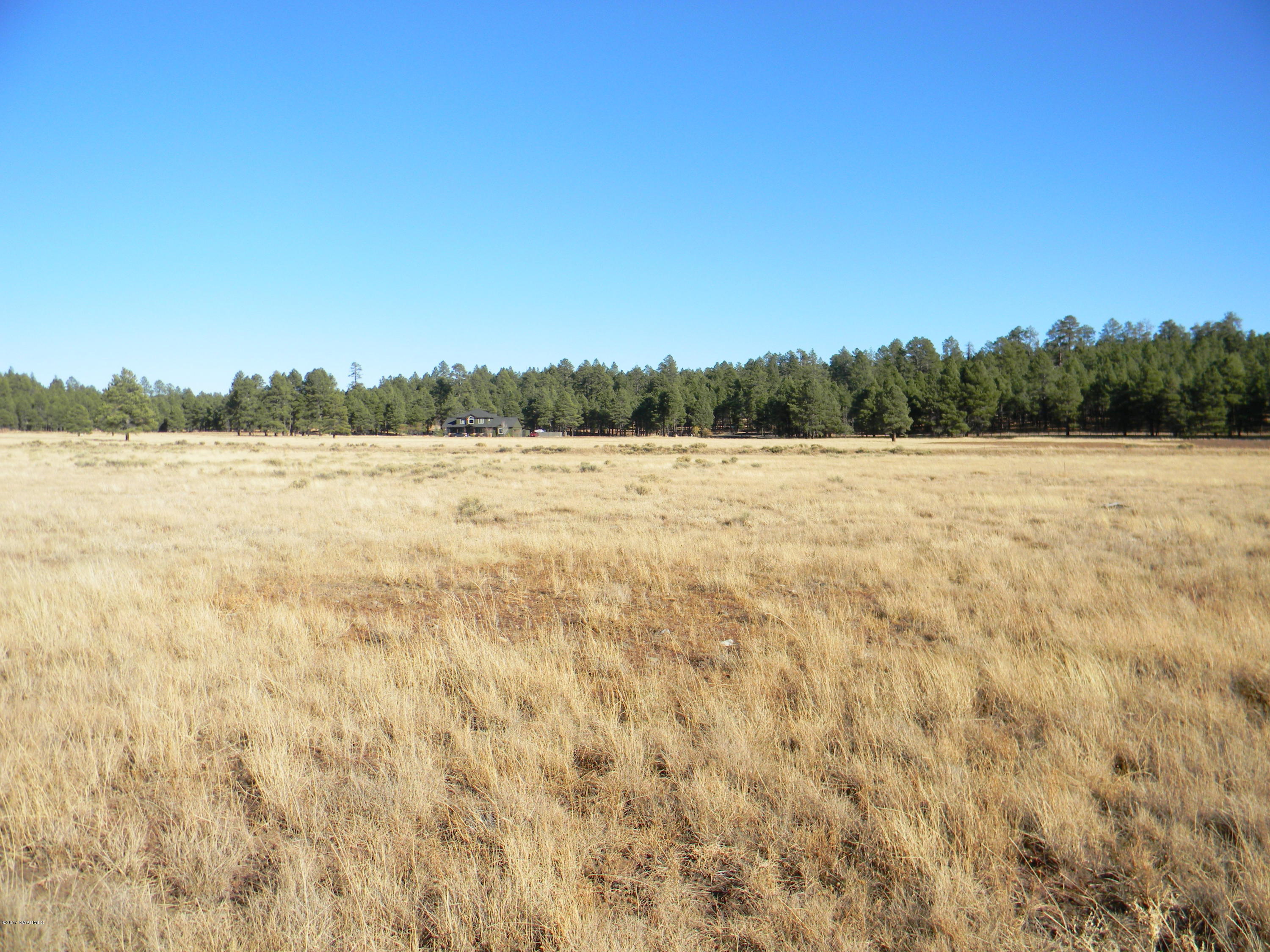 4461 Brackin Ranch Road Flagstaff, AZ 86001 - Photo 3 of 4 DSCN1448