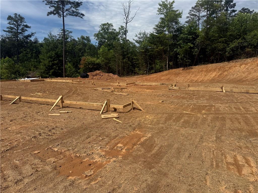 2 Mountain Road Morganton, GA 30560 - Photo 7 of 22