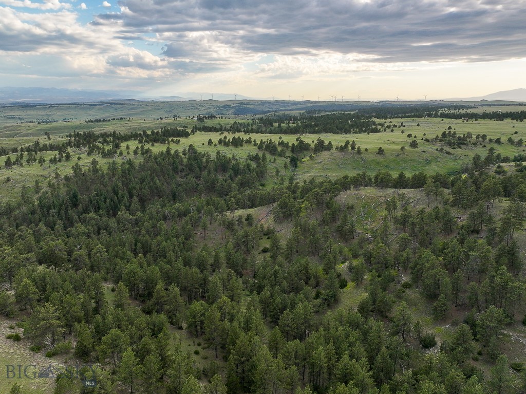 504 Stephens Hill Road Reed Point, MT 59069 - Photo 16 of 43 Gallery Image 16