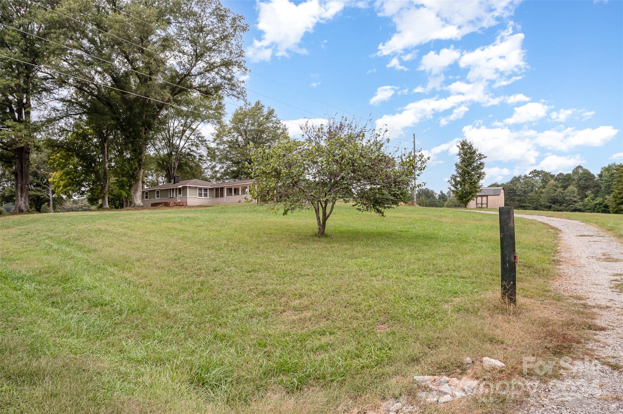 3869 Randleman Road Iron Station, NC 28080 - Photo 12 of 16 a view of a yard with a tree