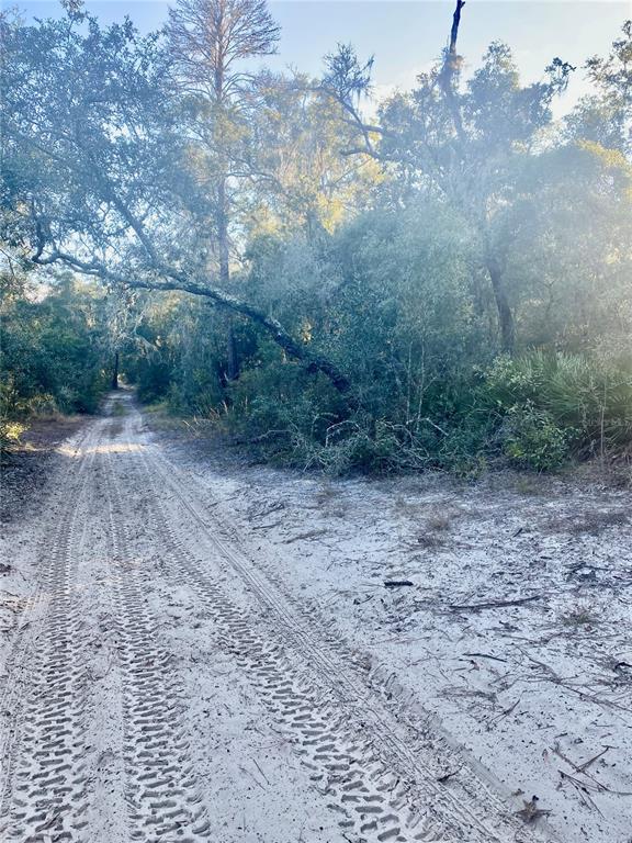 3986 South Pelican Avenue Inverness, FL 34450 - Photo 4 of 10