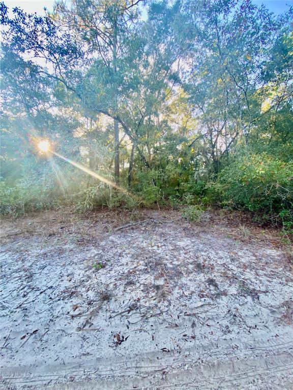 3986 South Pelican Avenue Inverness, FL 34450 - Photo 5 of 10