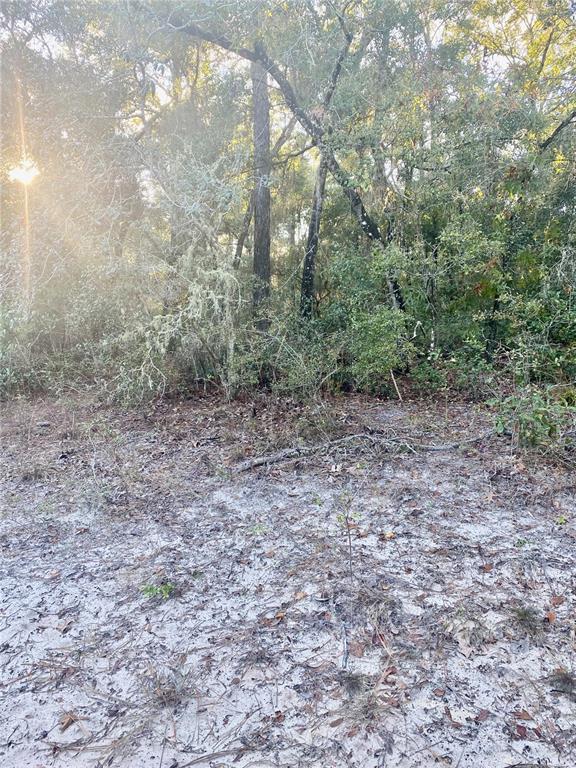 3986 South Pelican Avenue Inverness, FL 34450 - Photo 7 of 10