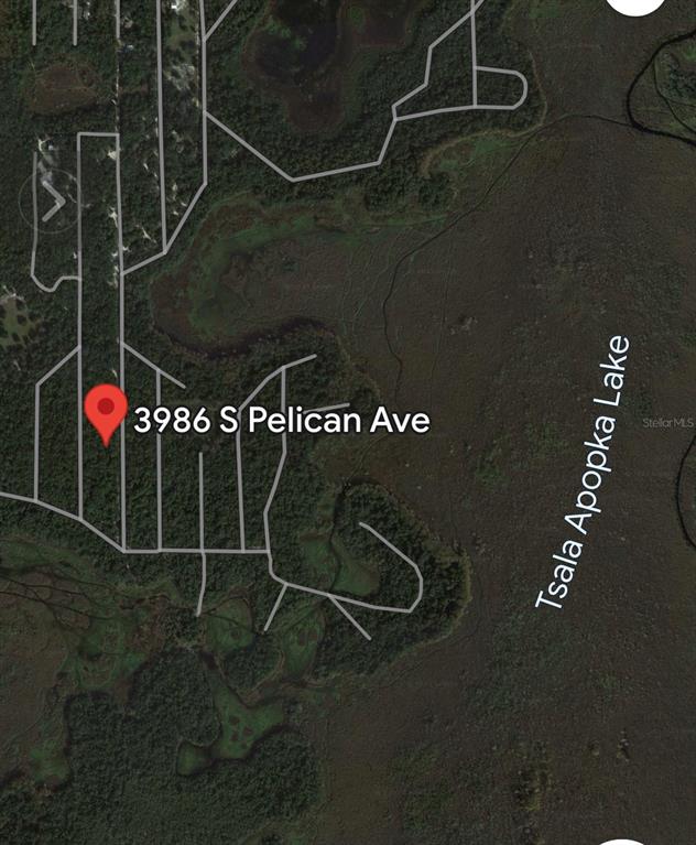 3986 South Pelican Avenue Inverness, FL 34450 - Photo 9 of 10