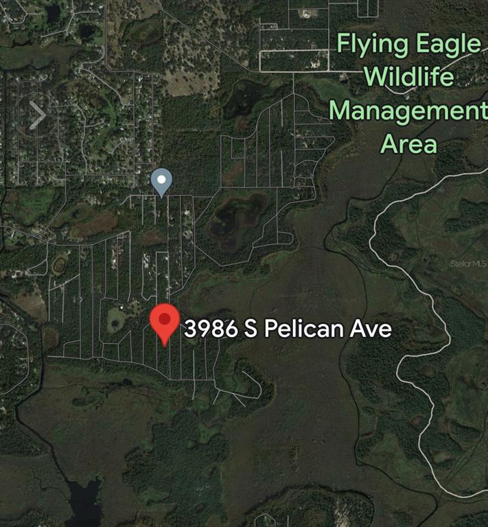 3986 South Pelican Avenue Inverness, FL 34450 - Photo 10 of 10