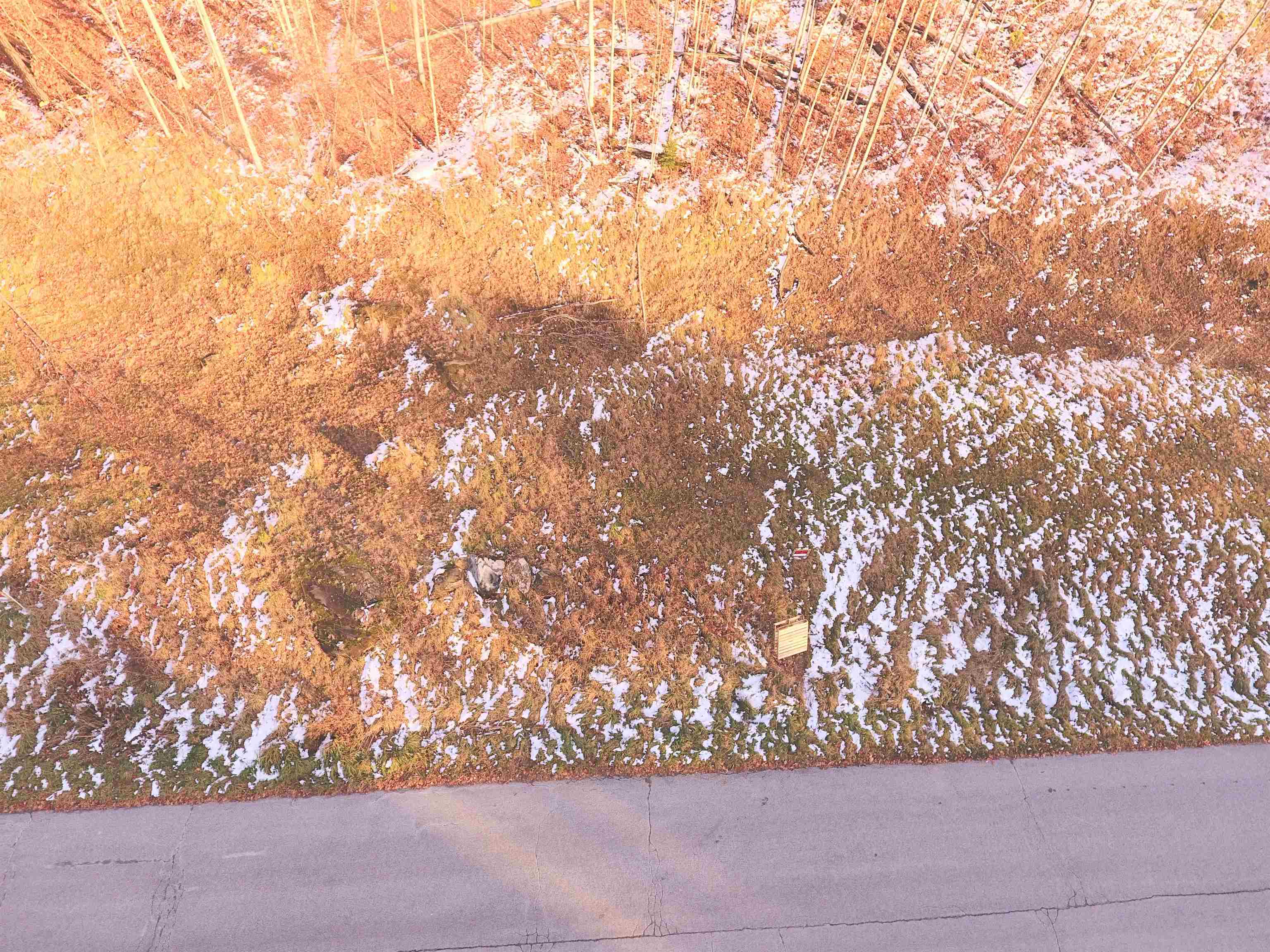 Lot #10-11 Maplewood Avenue, Unit LOTS 10 AND 11 Barre, VT 05641 - Photo 7 of 9