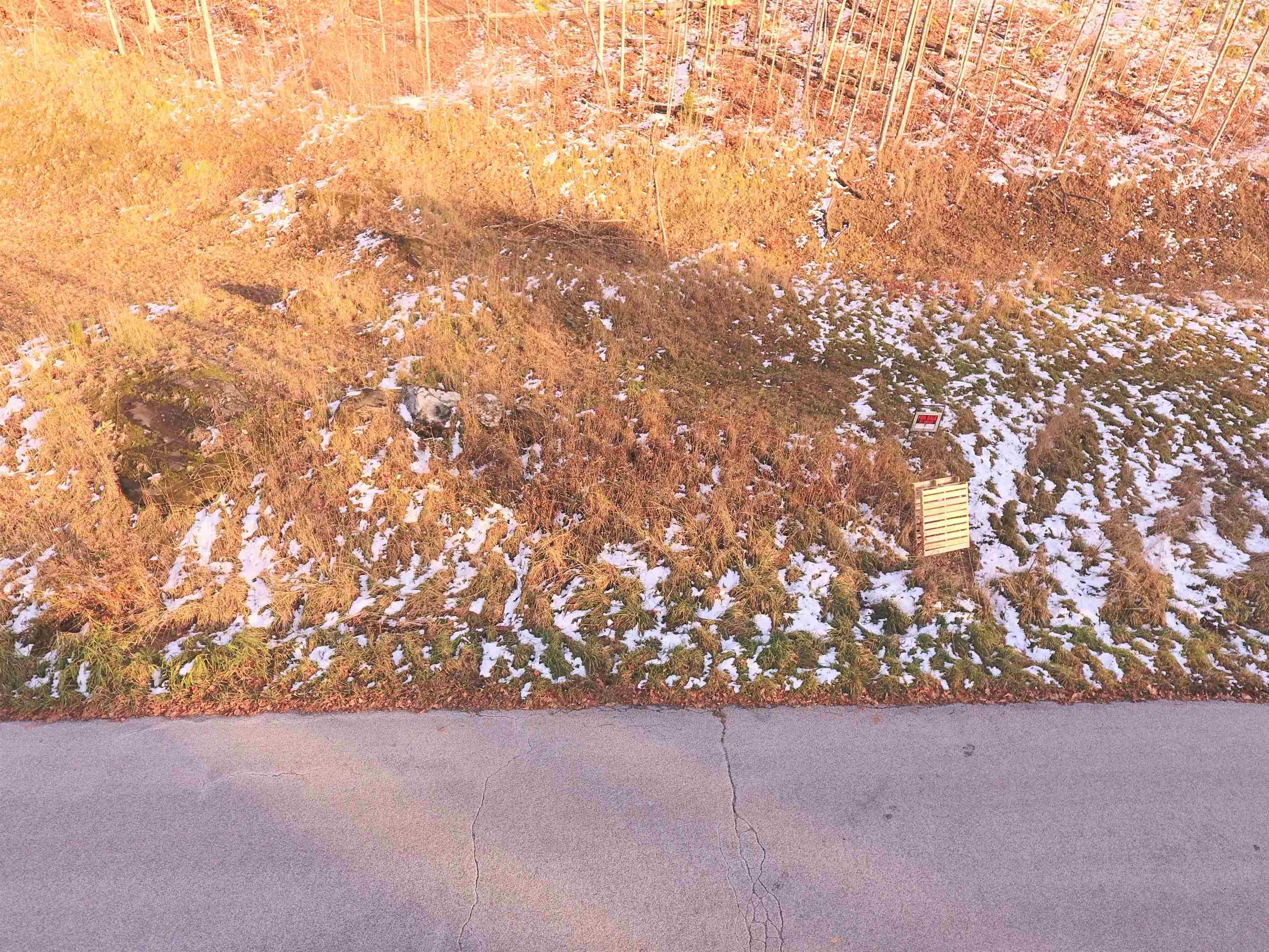 Lot #10-11 Maplewood Avenue, Unit LOTS 10 AND 11 Barre, VT 05641 - Photo 8 of 9