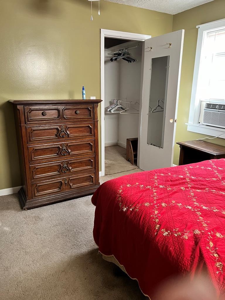 2034 Old River Road Charleston, TN 37310 - Photo 12 of 29 a bedroom with a bed and a dresser