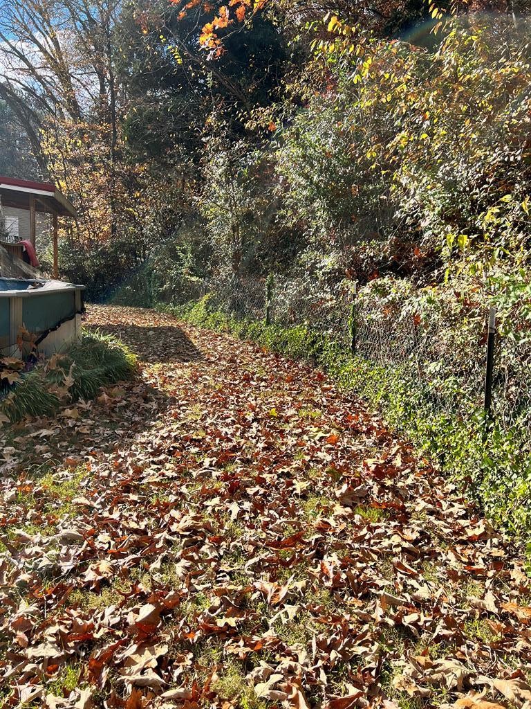 2034 Old River Road Charleston, TN 37310 - Photo 27 of 29 a view of backyard with green space