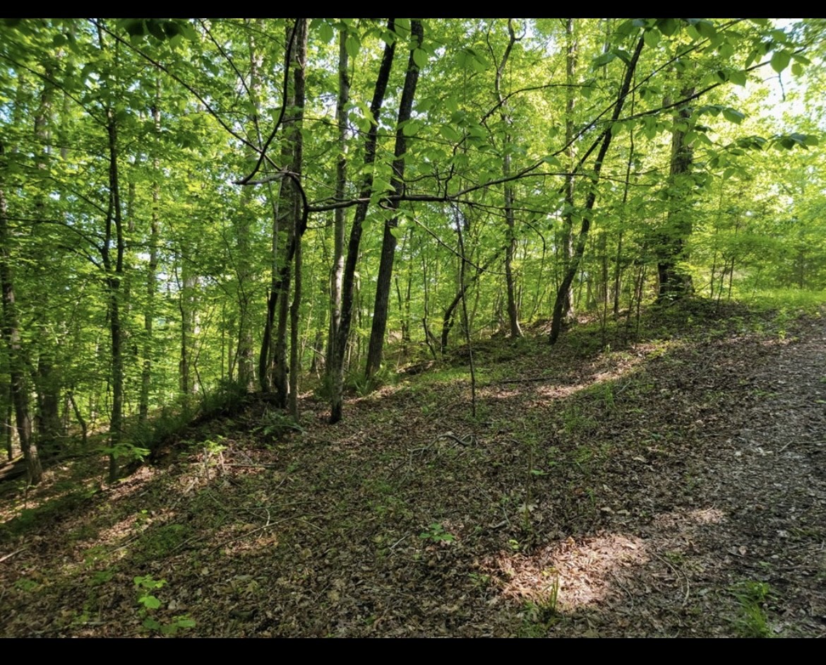 0 Shetland Trace Sparta, TN 38583 - Photo 2 of 8 a view of outdoor space and trees