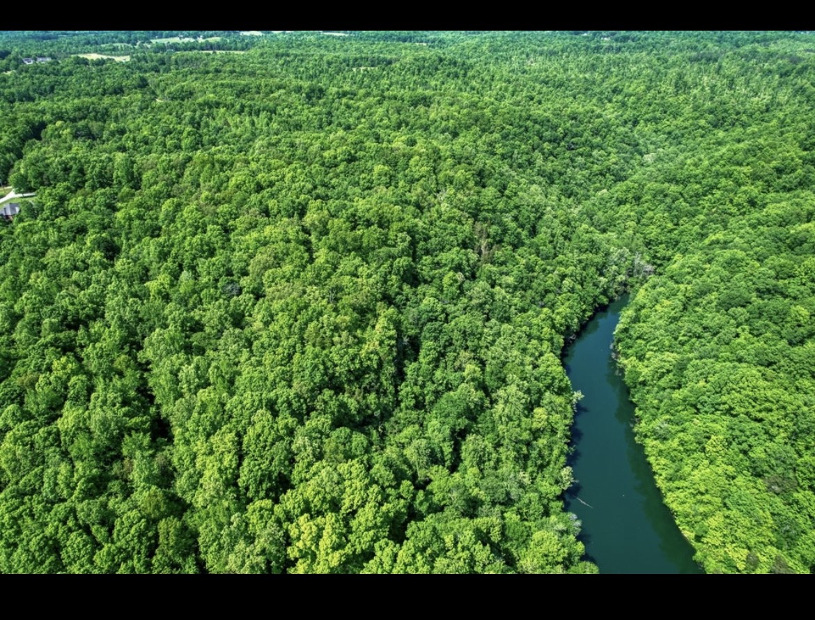 0 Shetland Trace Sparta, TN 38583 - Photo 3 of 8 a view of a yard