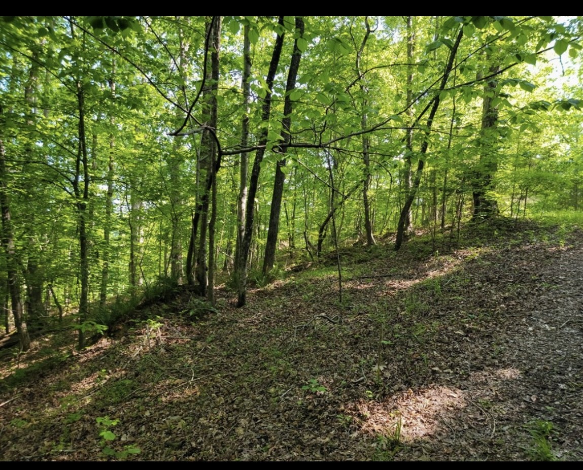 0 Shetland Trace Sparta, TN 38583 - Photo 8 of 8 a view of outdoor space and trees