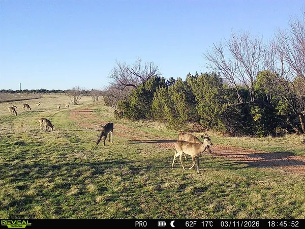 $485,000 | 82 Highway 82, Munday, TX 76371