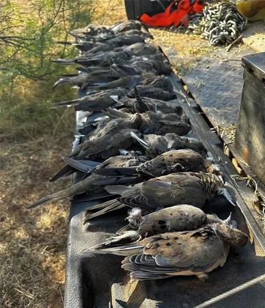 $485,000 | 82 Highway 82, Munday, TX 76371