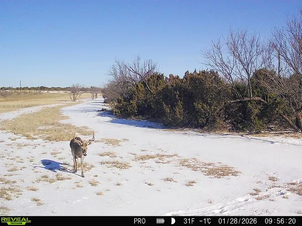 $485,000 | 82 Highway 82, Munday, TX 76371