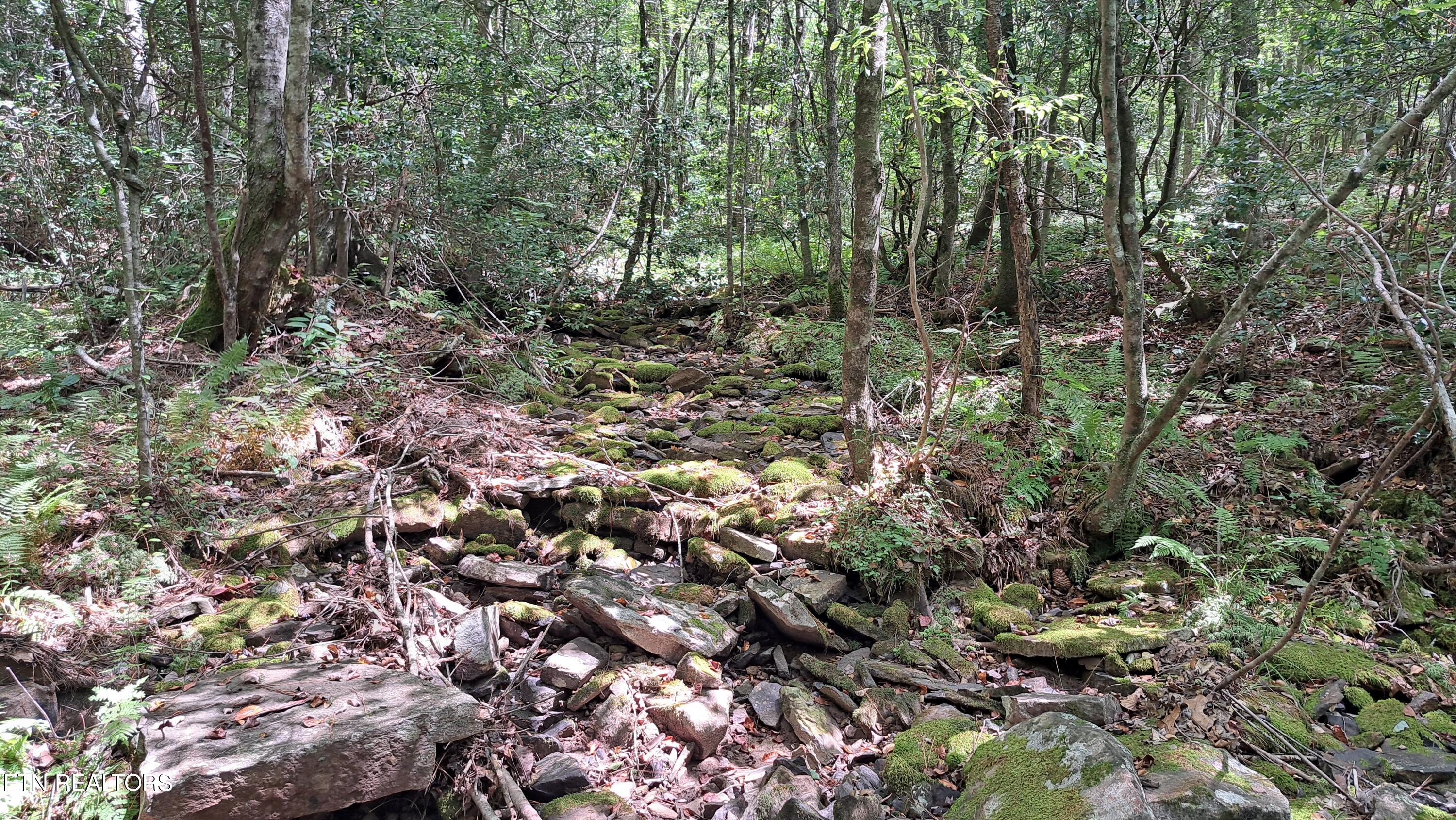 Airport Road Rockwood, TN 37854 - Photo 4 of 10 20240814_123051